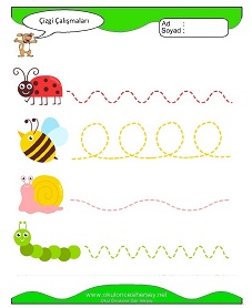 Çizgi Çalışma Sayfaları